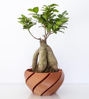 Macetero - Planter - - Jardinera impresa en 3D - 3D printed planter