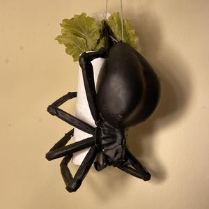 Hanging Spider Vase