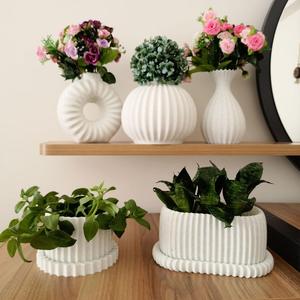 Modern flower pot collection