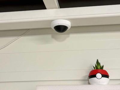 Fake CCTV Dome Camera