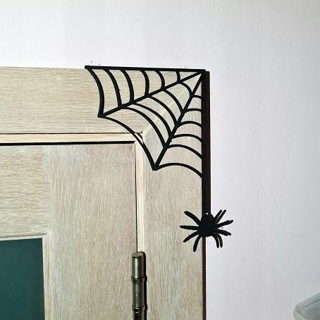 Spider cobweb door