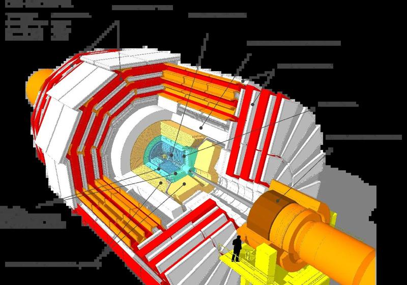 CMS Particle Detector Models   