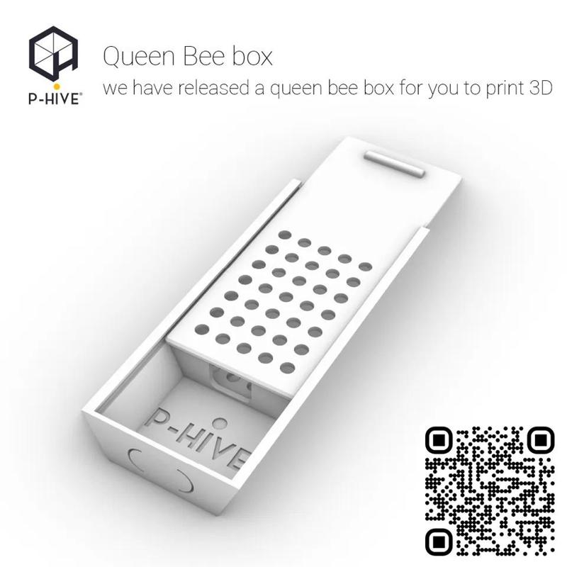 Queens box P-Hive   