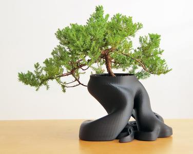 gCreate Bonsai Root Planter
