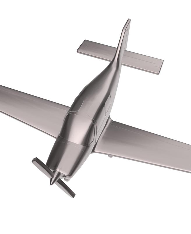 Beagle B-121 Pup