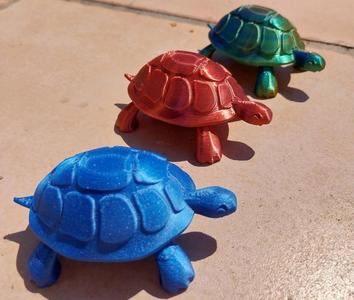 Hermann's tortoise (cute turtle)