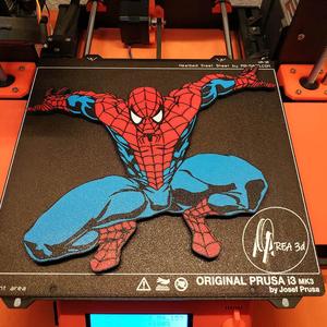 Spider-man wall art (Single and MMU)