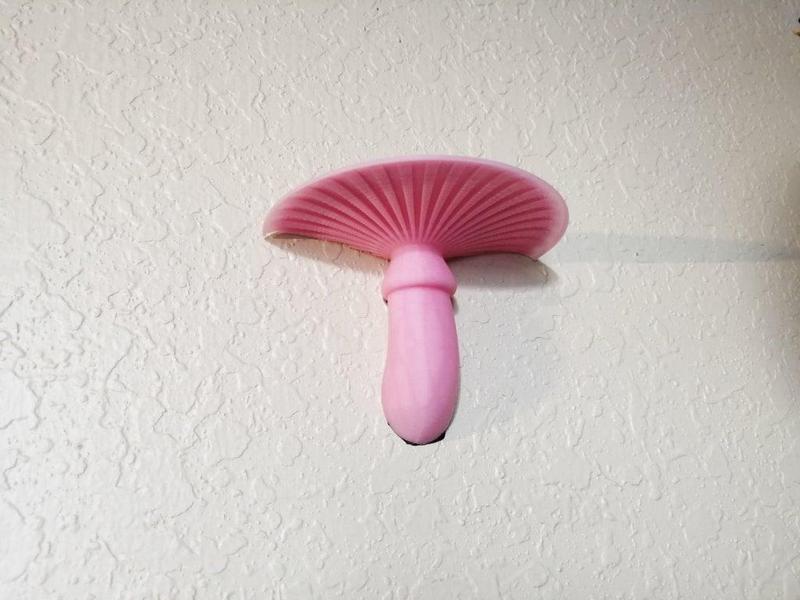 Fairy Mushroom Shelf