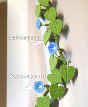 Morning Glory Magnets - Ivy Fridge Magnet - Flower Magnets