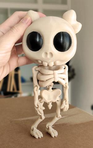 Flexi Girl Skeleton: Stylish Little Star