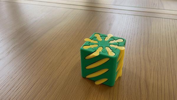 Double Helix Fidget Cube