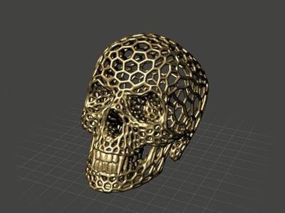 3D Vampire Skull Voronoi Mesh