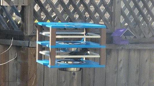 Hanging Bluebird Feed Station, 2 Tier Expandable
