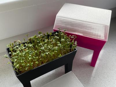 Dollhouse Accessory - Raised Bed for Cress Sprouts