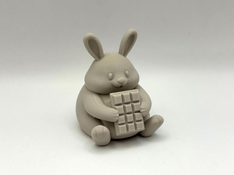 Chocolate Bunny Buddy
