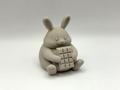 Chocolate Bunny Buddy