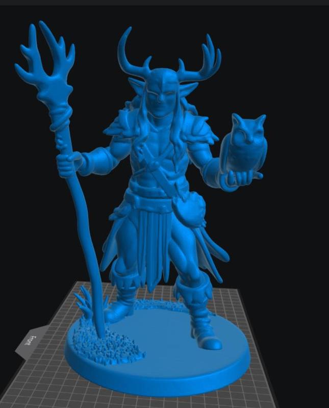 Elf Druid Male 5