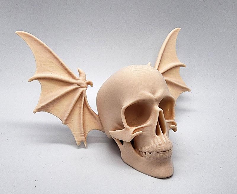Bat-Wing Skull