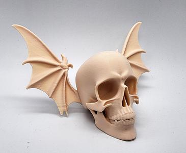 Bat-Wing Skull