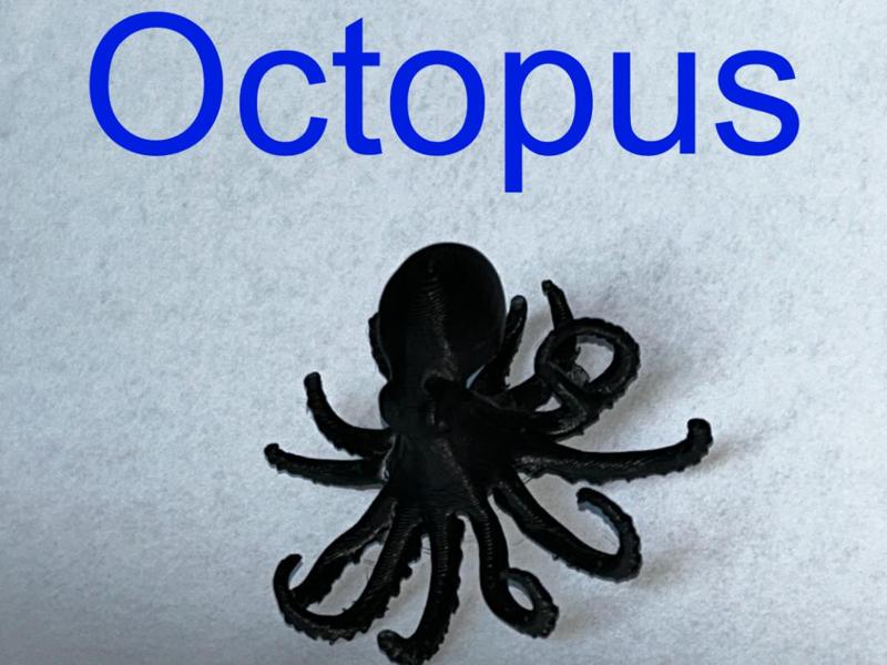 Octopus