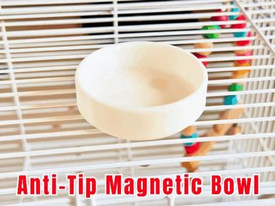 Anti-Tip Bowl for Small Pets