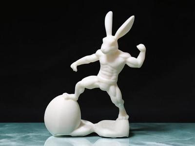 Muscle bunny