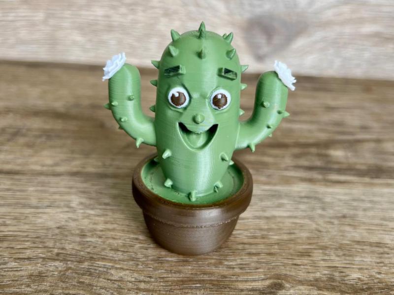 Cartoon Cactus with Flowers