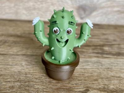 Cartoon Cactus with Flowers