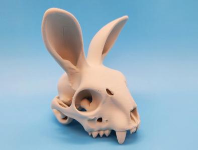 Bunny Skull - Ears Front