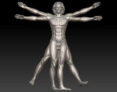Vitruvian Man  High For 3D Printing