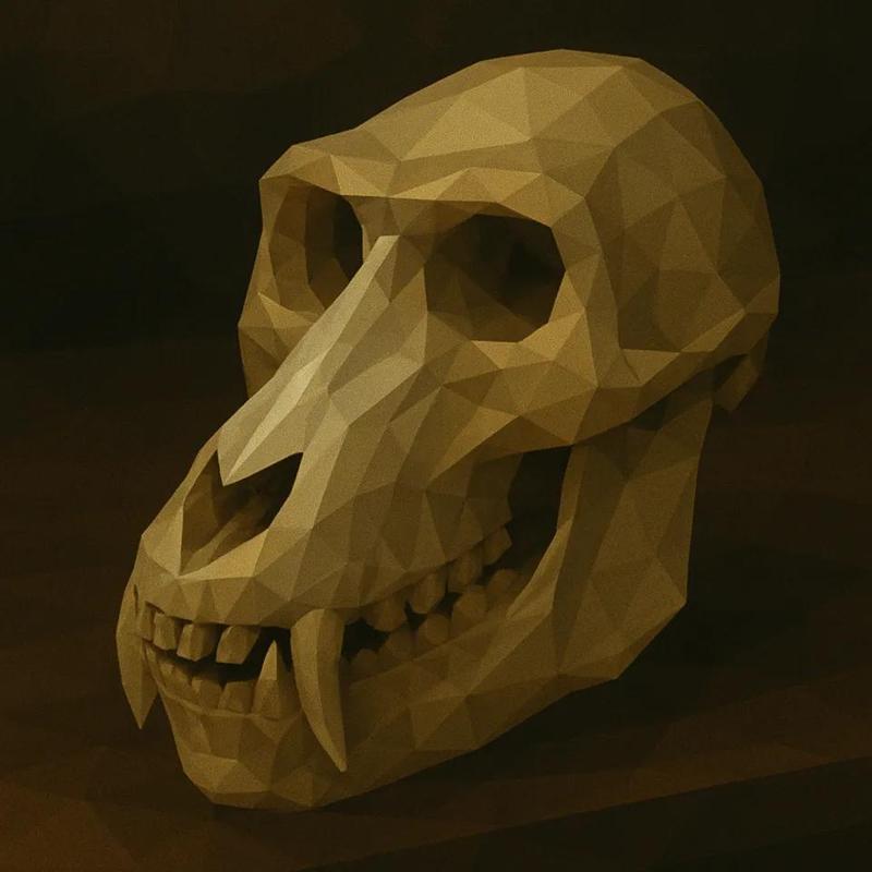 Monkeys Skull Low Poly   