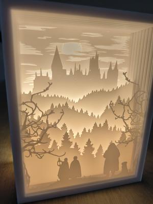 Harry Potter and The Philosopher's Stone Shadow Box Lamp