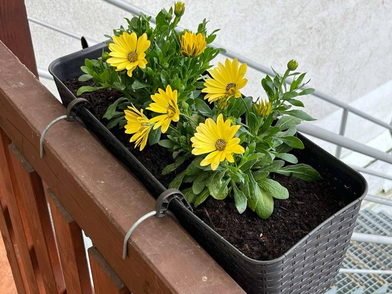 Držák květníku na drát 4,5mm / Flower pot holder for 4.5mm wire