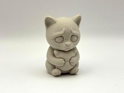 Sad Cat Buddy