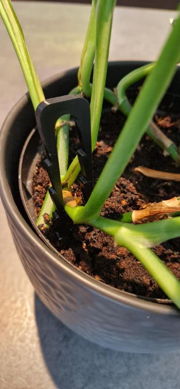 Plant hook