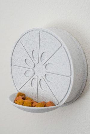 Yuzu Nest