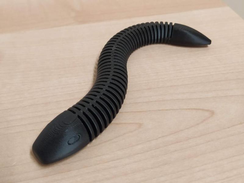 Flexible worm