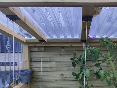 Green house plant hook