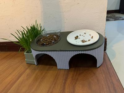 Double Pet Feeder (Bowls Not Included)
