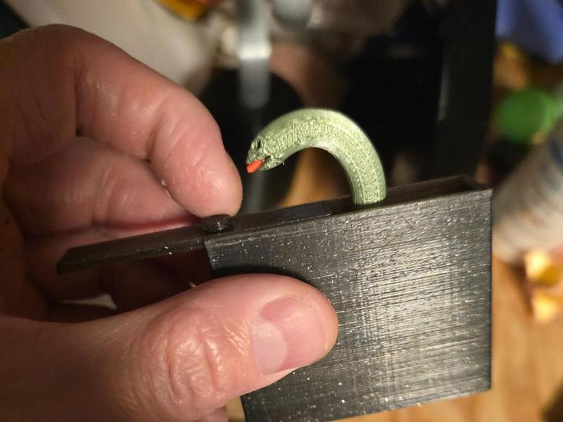 Snake in a box