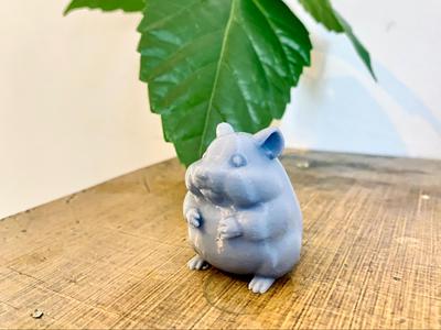 Chubby Hamster