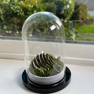 OASIS Terrarium