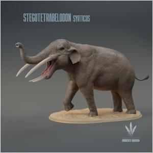 Stegotetrabelodon syrticus : Display
