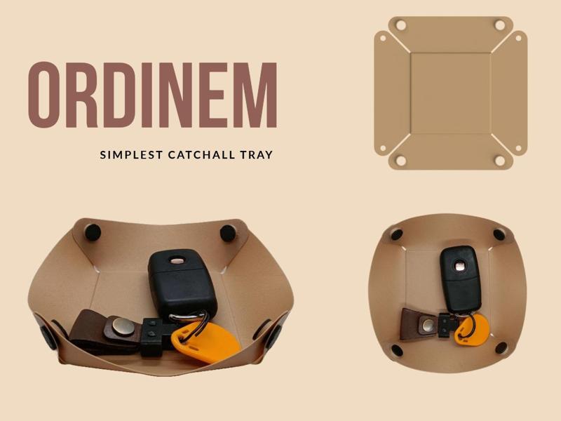 Ordinem - Catchall Tray Organizer