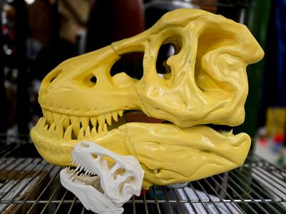 upscaled T-Rex Skull 600% larger cut and assembled