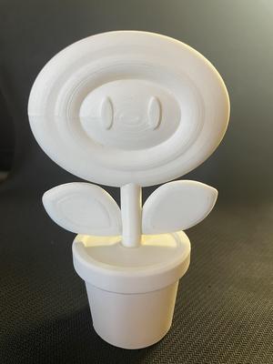 Mario Fire/Ice flower power