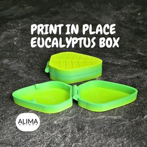 Little Koala with Eucalyptus Box / Articulated Fidget Toy / Support Free