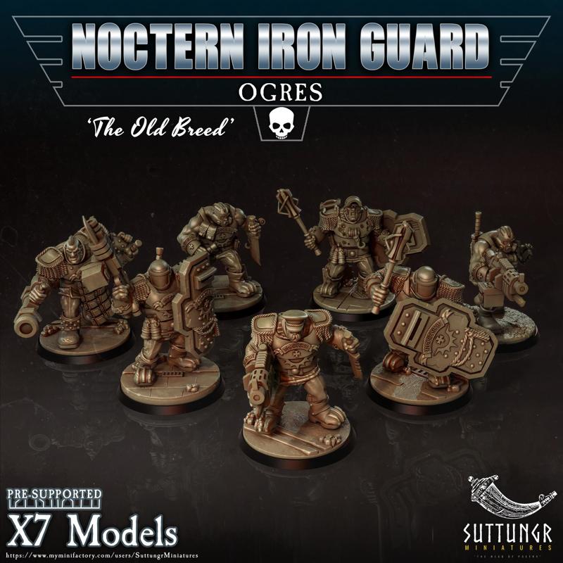 Noctern Iron Guard - Ogres