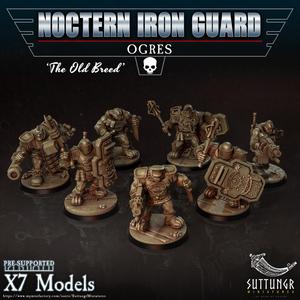 Noctern Iron Guard - Ogres