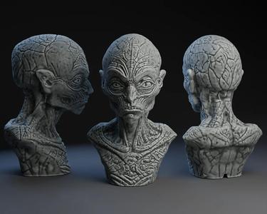 Aquatic / Alien Head Bust   